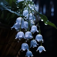 T/g Hà