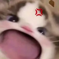 Nì nekkk