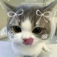 t/g cuti số 1 thế giới