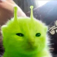 Mèo xanh lè_👽