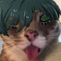Tg
