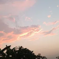 all ( trừ những người cần trừ)