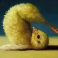 Tác giả cuteeee