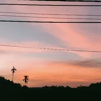 All