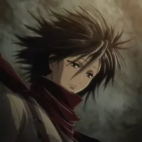 Mikasa