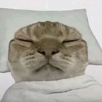 tác giả :v