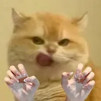 TG Yêu Gay