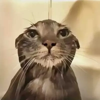 Át tịt lỏ