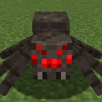 spider
