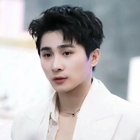 Lê Hồng Sơn: Sơnk