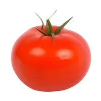 Tomato [Tác giả]