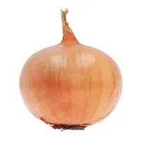 𝙏𝙖́𝙘 𝙜𝙞𝙖̉