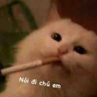hệ thống báo làng báo xóm