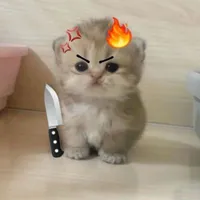 nhóm chu minh,...