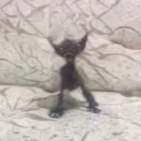 𝙃𝙚̣̂ 𝙩𝙝𝙤̂́𝙣𝙜