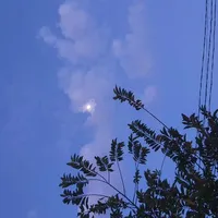 tác giả bị xàm ଘ😆ଓ