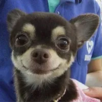 Tus đáng yêu