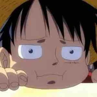 T/g húi
