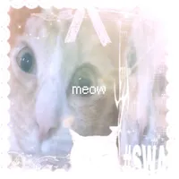 chủ tịch meow meow