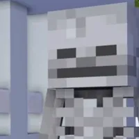 SKELETON(SKELLY)