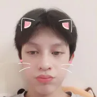Phàm chim ưng