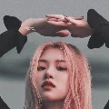 Rosé( mèo)