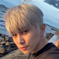 Lê Hồng Sơn