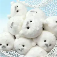 Tác giả bél.