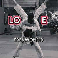 [t/g] lam