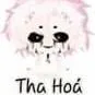 hiha tha hoá