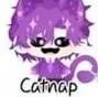 catnap