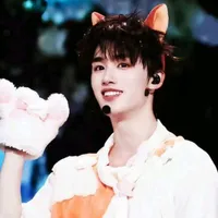 IDOL_ Đinh Trình Hâm