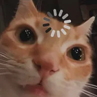 t/g