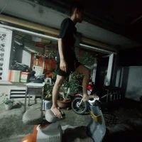 #PUT #Bin #Bot