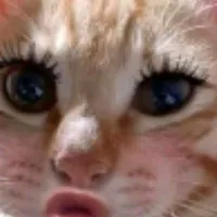 lớp trừ ai thì trừ