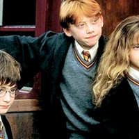 ron, Harry, Hermione