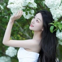 An Dĩ Nhu