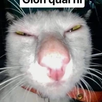 cả lớp ( trừ ai thì trừ)