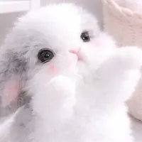 Bunny_Em