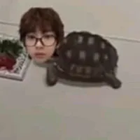 T/g bị khùng