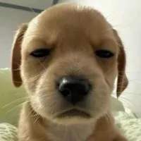 𝙀𝙠𝙞𝙥