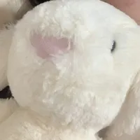 bếu
