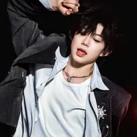 Trần Dịch Hằng