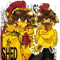 Shedletsky