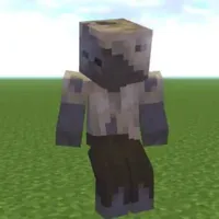Husk