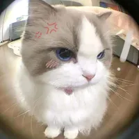 !#...#?
