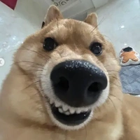 tác giả xinh đẹp
