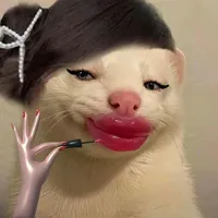 các cô