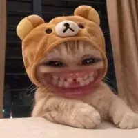 các anh các cô