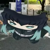 T/g